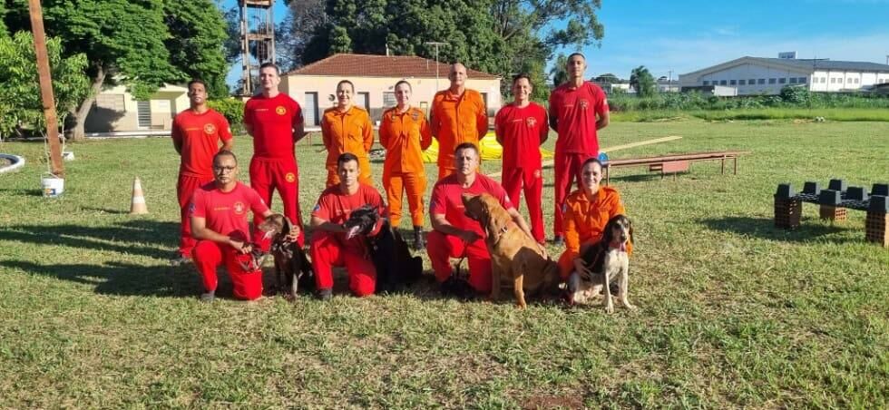 Imagem de compartilhamento para o artigo Cães do Corpo de Bombeiros de Coxim passam por treinamentos de busca e salvamento da MS Todo dia